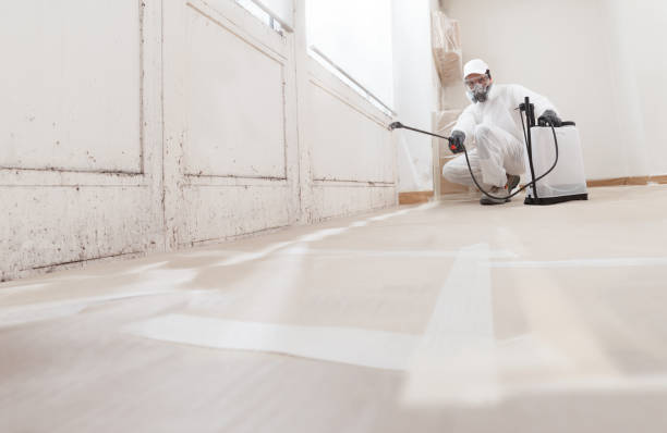 24/7 Emergency Attic Mold Remediation experts in Dover, NJ